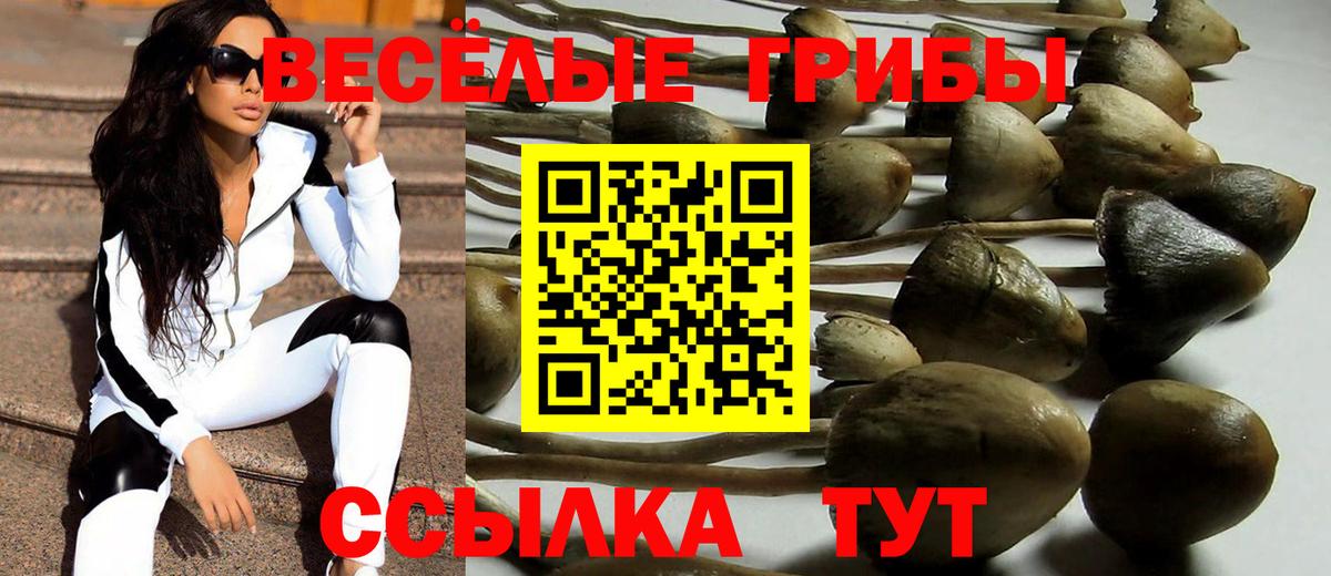 Галлюциногенные грибы GOLDEN TEACHER Озёрск