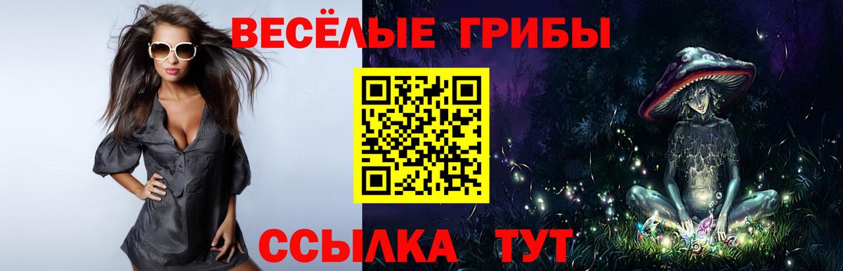 Озёрск  Псилоцибиновые грибы Cubensis  Вход с VPN 