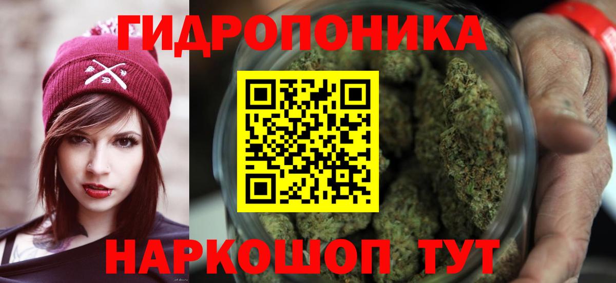 Конопля планчик Озёрск